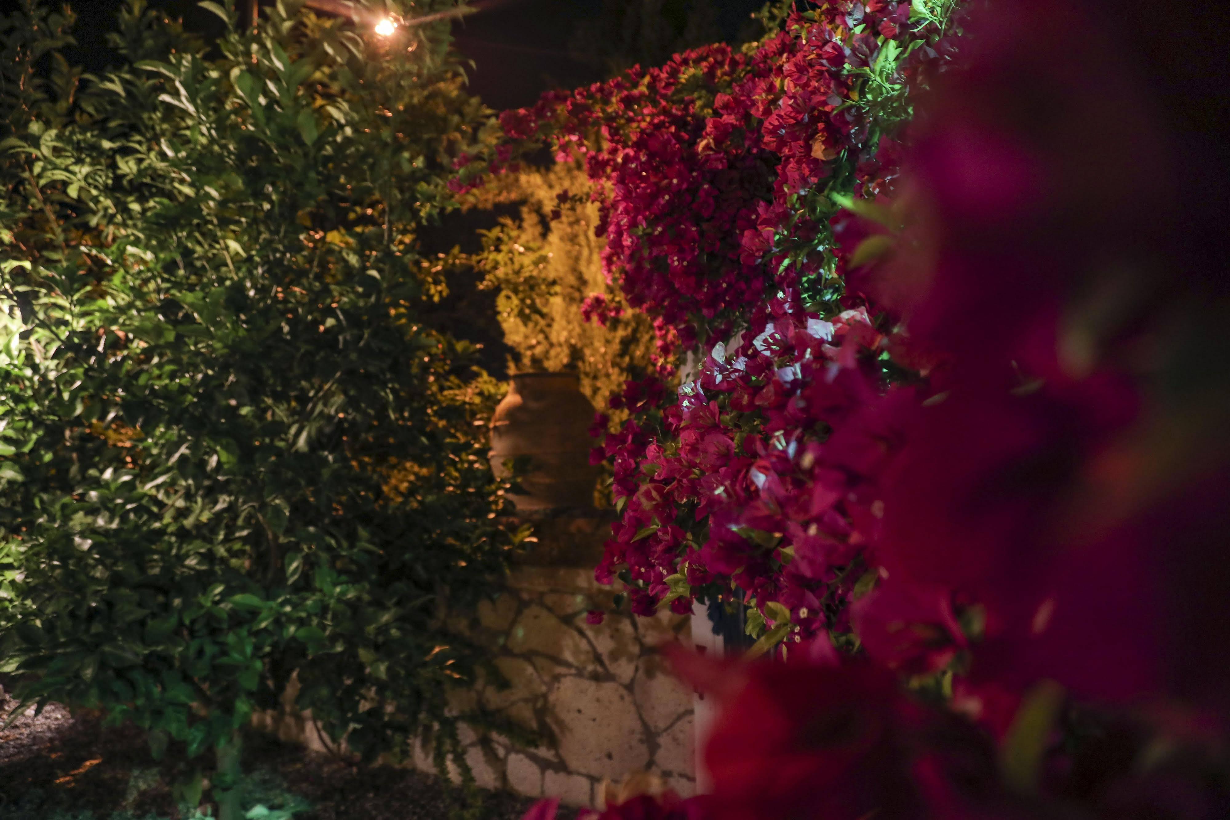Sari Gelin Alacati Hotel Εξωτερικό φωτογραφία