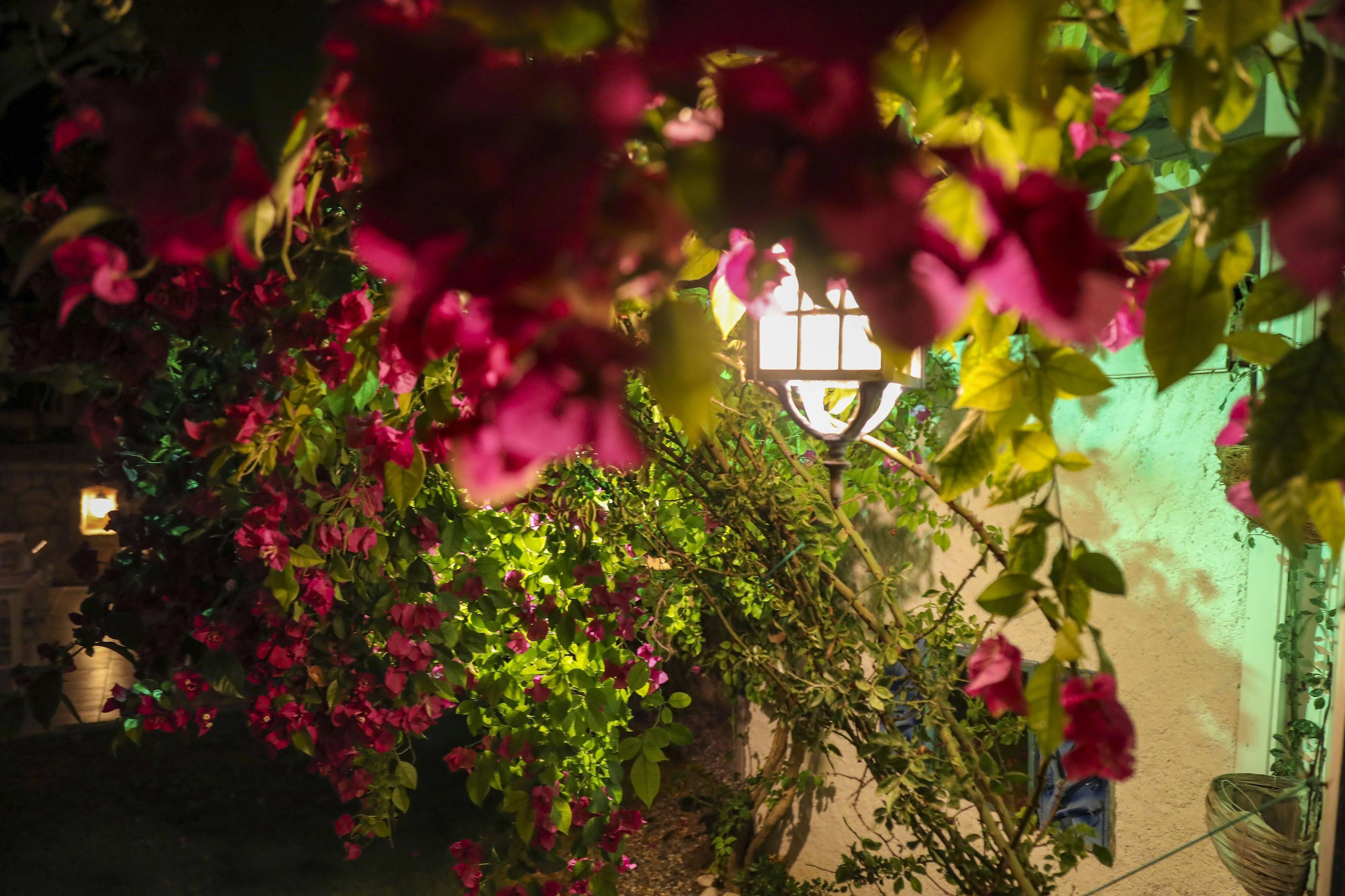 Sari Gelin Alacati Hotel Εξωτερικό φωτογραφία